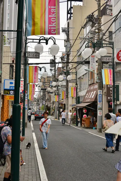 DSC_4018 (Large).JPG